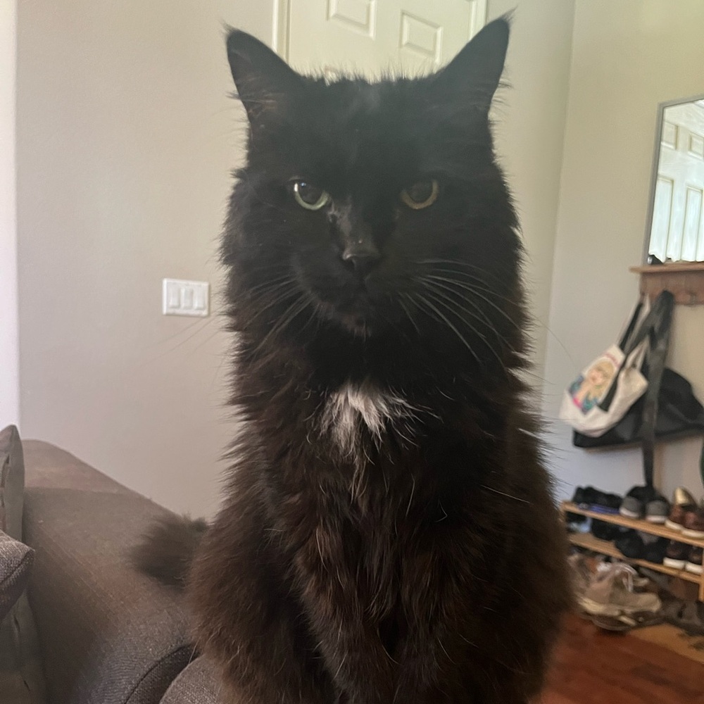 Meet your Posher, Jessica